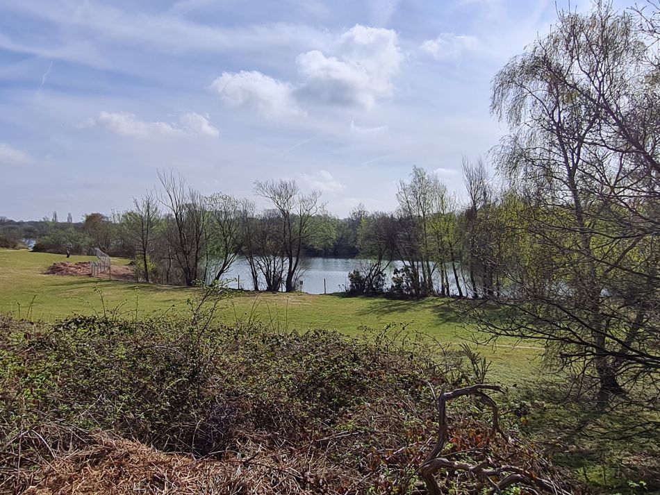 2022-04-13 11 Broome Falcon Bigod Outney.jpg