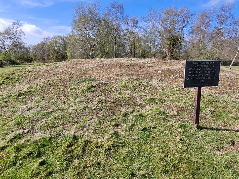 2022-04-13 12 Broome Falcon Bigod Outney.jpg