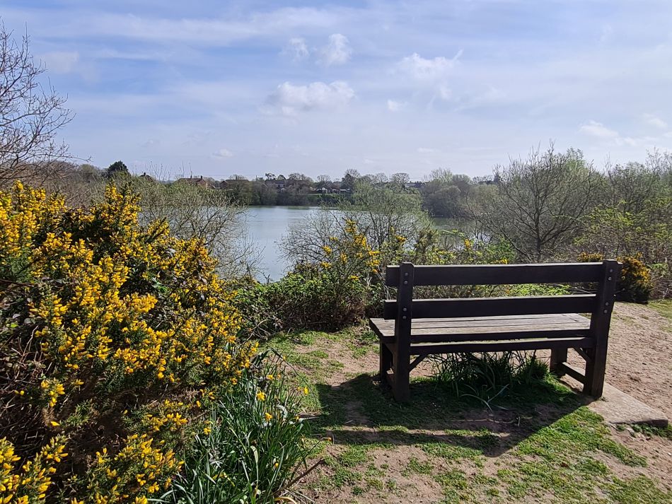 2022-04-13 14 Broome Falcon Bigod Outney.jpg