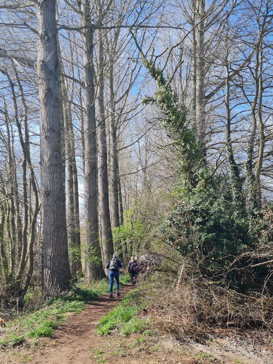 2022-04-13 17 Broome Falcon Bigod Outney.jpg