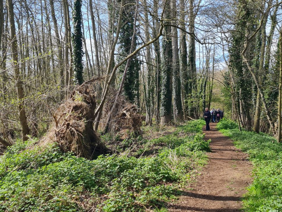 2022-04-13 18 Broome Falcon Bigod Outney.jpg