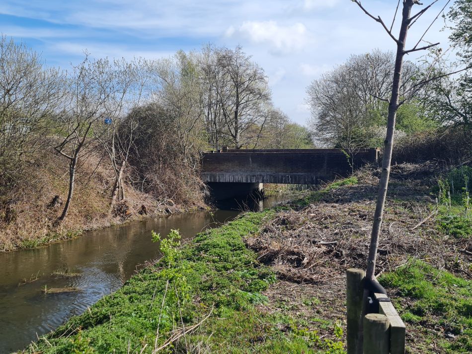 2022-04-13 21 Broome Falcon Bigod Outney.jpg