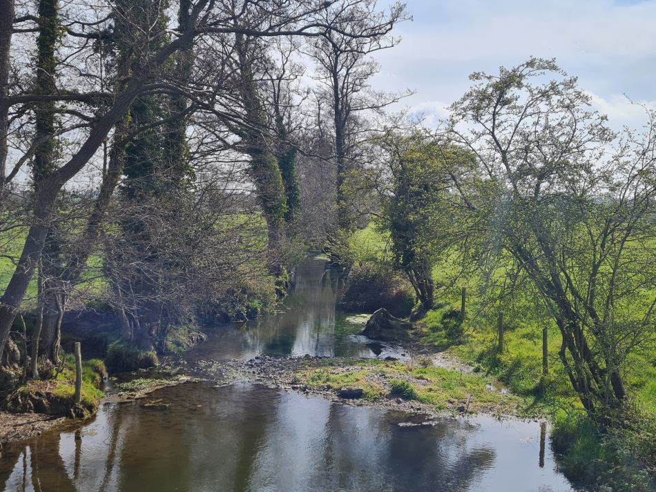 2022-04-13 23 Broome Falcon Bigod Outney.jpg