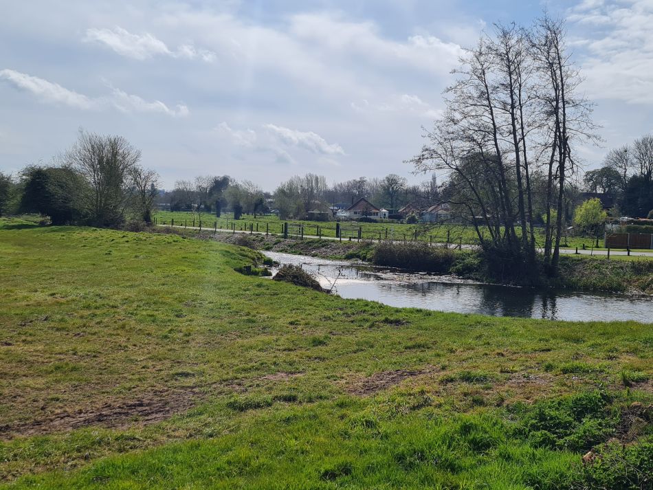 2022-04-13 24 Broome Falcon Bigod Outney.jpg