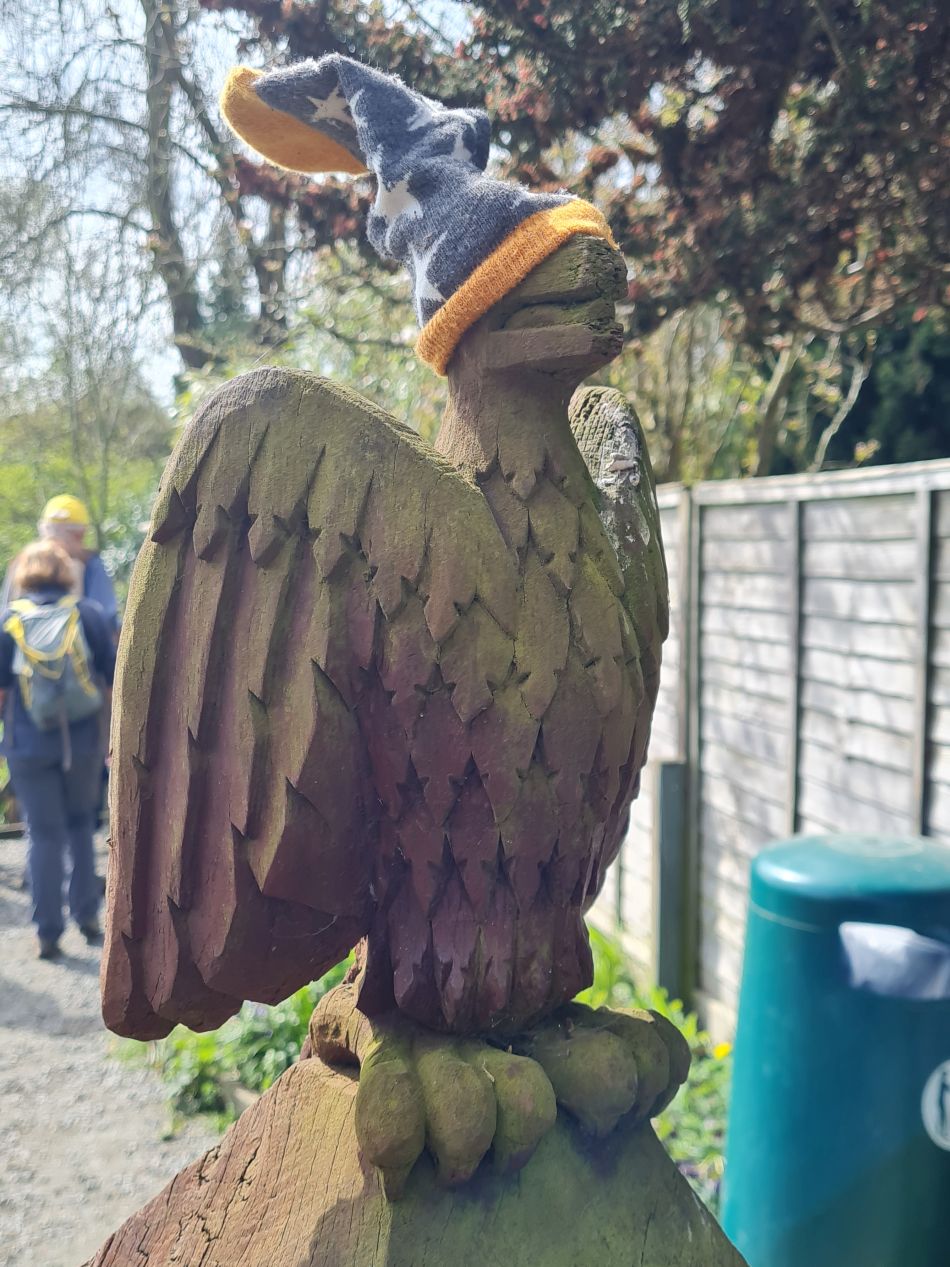 2022-04-13 25 Broome Falcon Bigod Outney.jpg