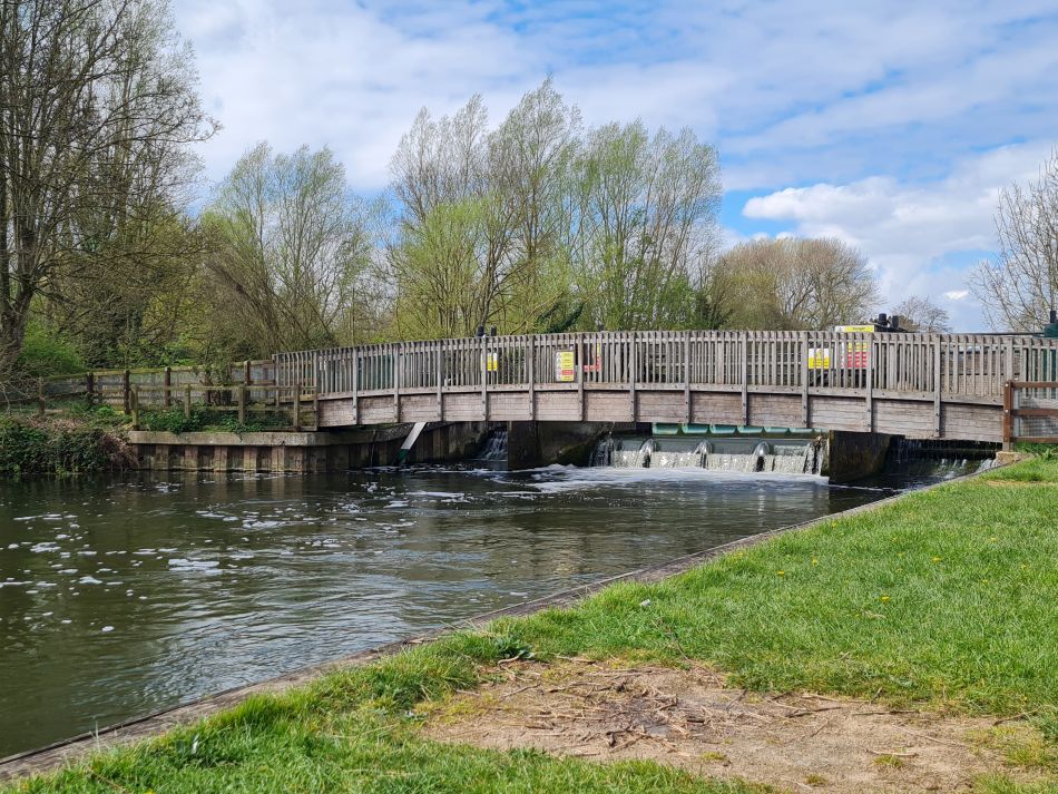 2022-04-13 27 Broome Falcon Bigod Outney.jpg