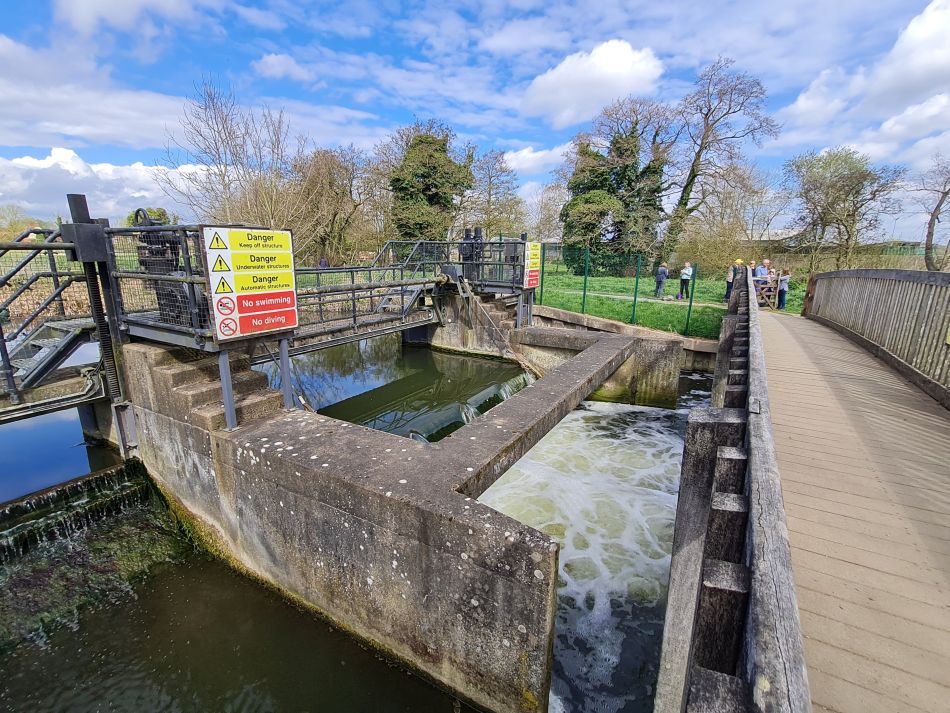 2022-04-13 28 Broome Falcon Bigod Outney.jpg