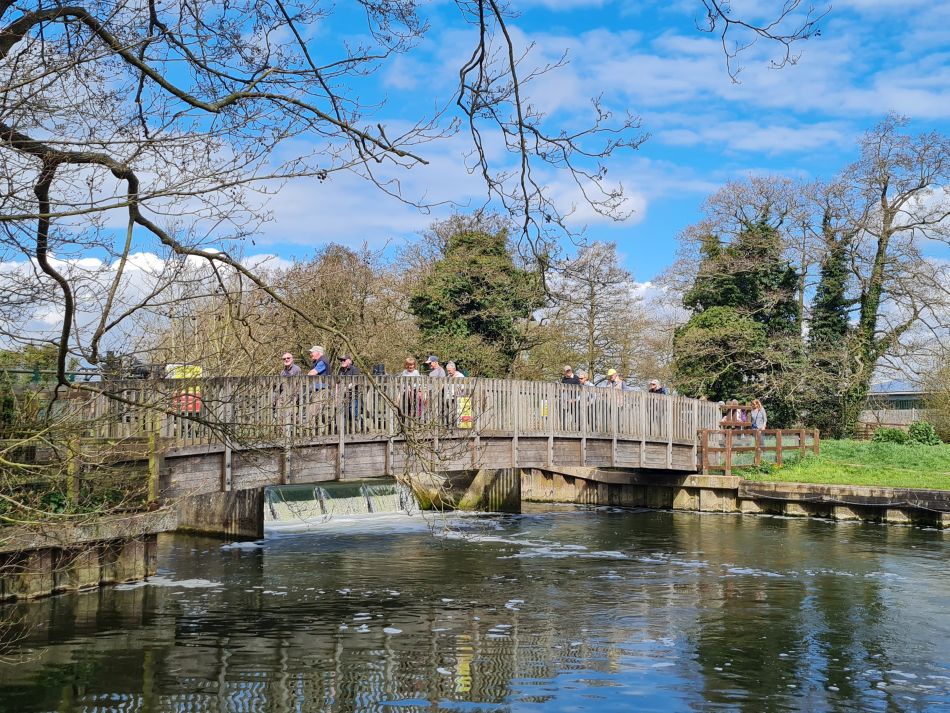 2022-04-13 29 Broome Falcon Bigod Outney.jpg