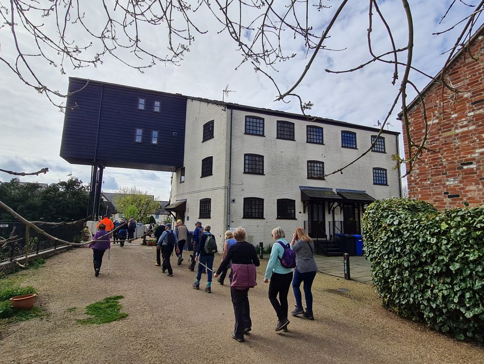 2022-04-13 30 Broome Falcon Bigod Outney.jpg