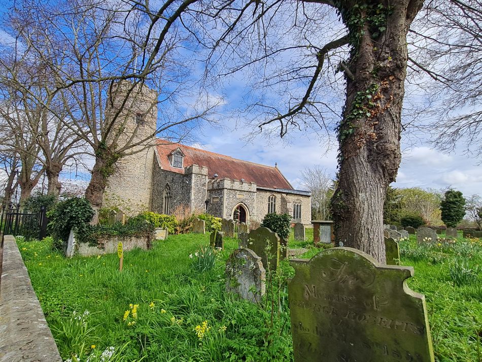 2022-04-13 31 Broome Falcon Bigod Outney.jpg