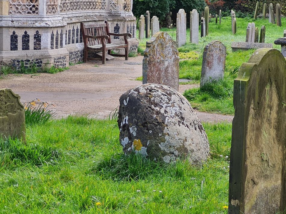 2022-04-13 36 Broome Falcon Bigod Outney.jpg