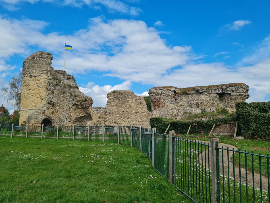 2022-04-13 38 Broome Falcon Bigod Outney.jpg