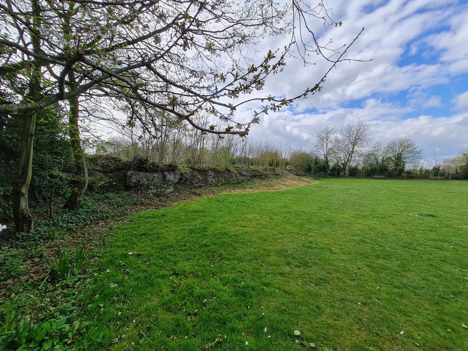 2022-04-13 39 Broome Falcon Bigod Outney.jpg