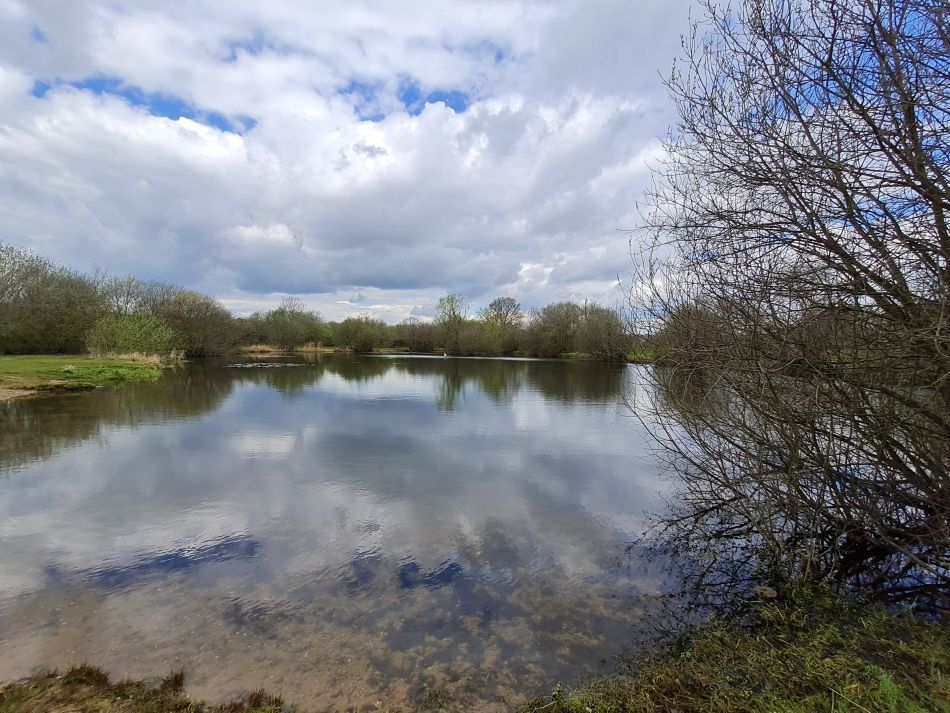 2022-04-13 44 Broome Falcon Bigod Outney.jpg