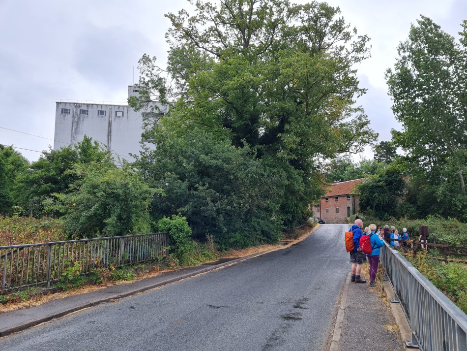 2022-07-31 03 Angles Way 18 - Ditchingham and Geldeston.jpg