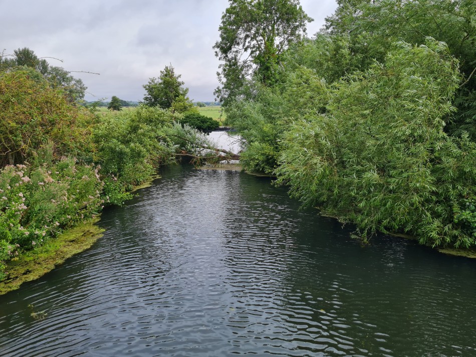 2022-07-31 04 Angles Way 18 - Ditchingham and Geldeston.jpg