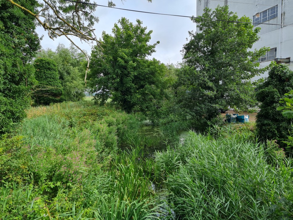 2022-07-31 07 Angles Way 18 - Ditchingham and Geldeston.jpg