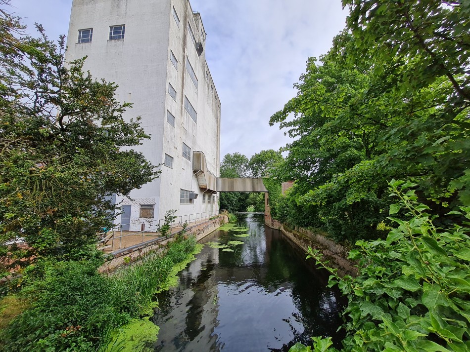 2022-07-31 08 Angles Way 18 - Ditchingham and Geldeston.jpg