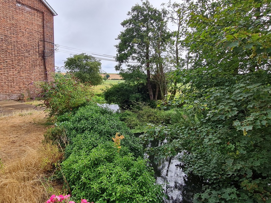 2022-07-31 10 Angles Way 18 - Ditchingham and Geldeston.jpg