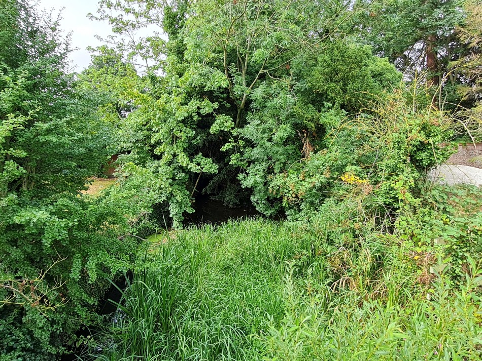 2022-07-31 11 Angles Way 18 - Ditchingham and Geldeston.jpg