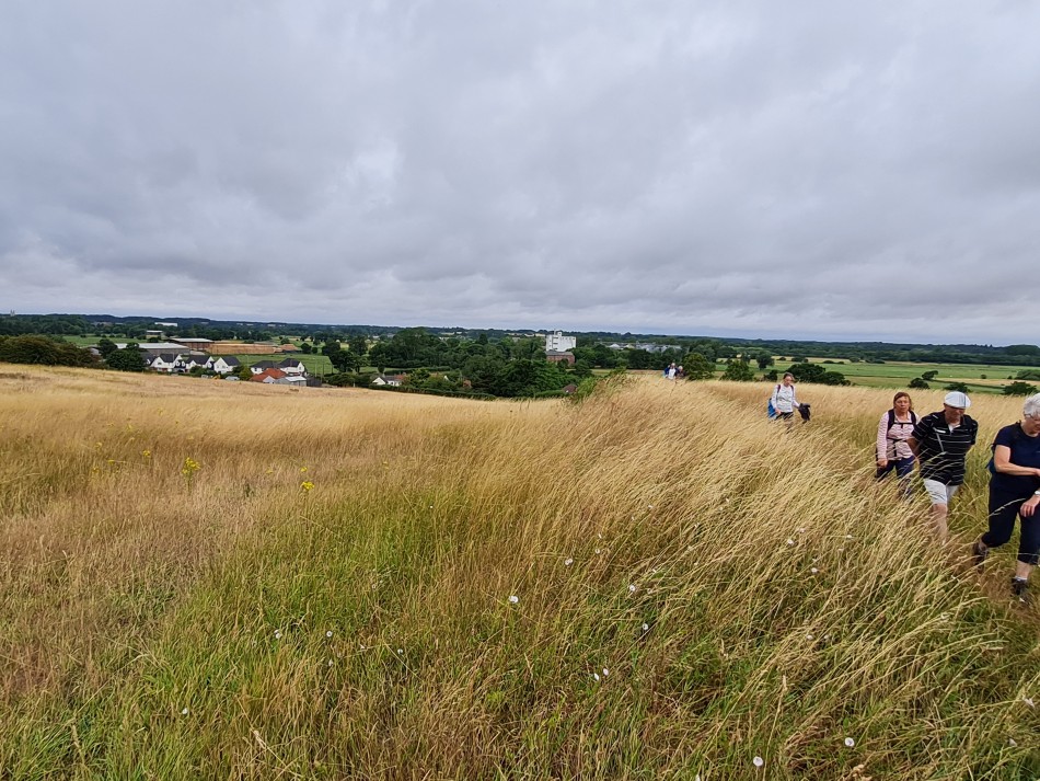 2022-07-31 12 Angles Way 18 - Ditchingham and Geldeston.jpg