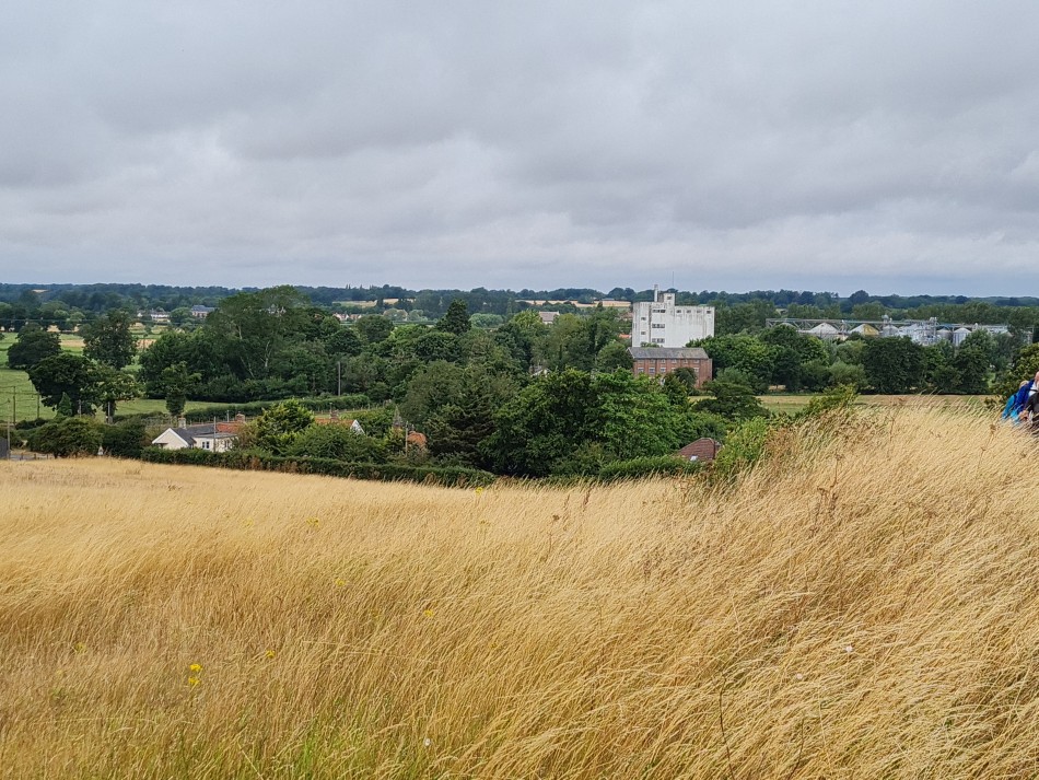 2022-07-31 13 Angles Way 18 - Ditchingham and Geldeston.jpg