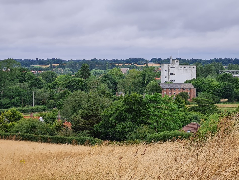 2022-07-31 14 Angles Way 18 - Ditchingham and Geldeston.jpg
