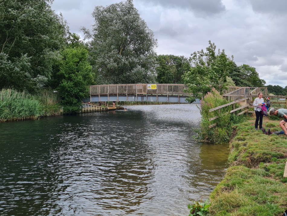 2022-07-31 16 Angles Way 18 - Ditchingham and Geldeston.jpg