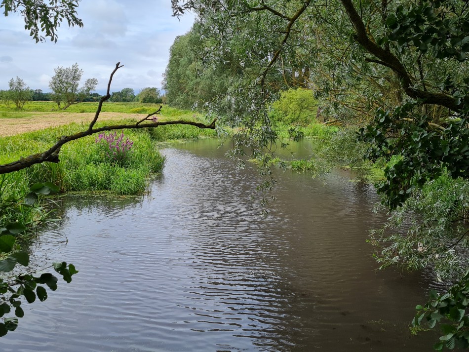 2022-07-31 26 Angles Way 18 - Ditchingham and Geldeston.jpg