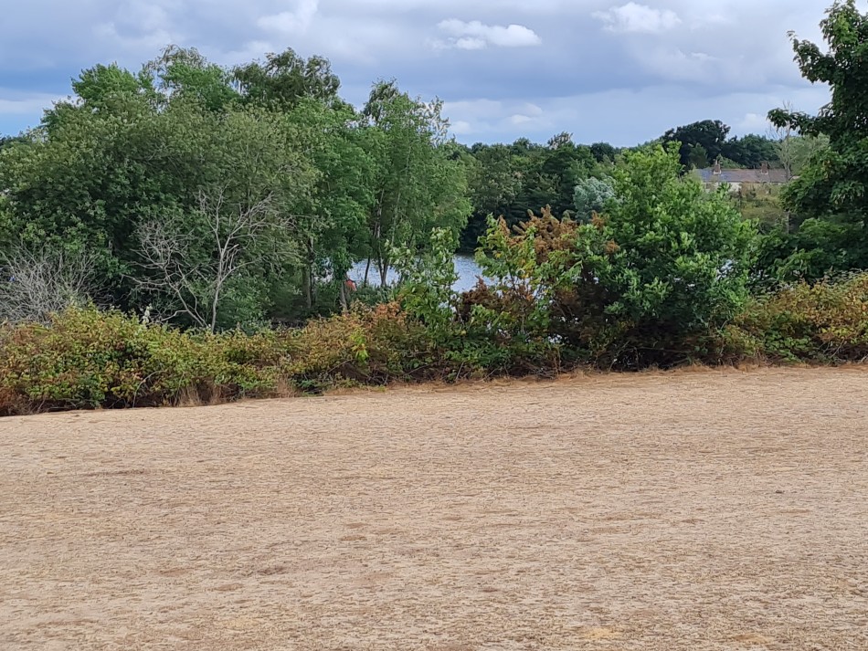 2022-07-31 38 Angles Way 18 - Ditchingham and Geldeston.jpg