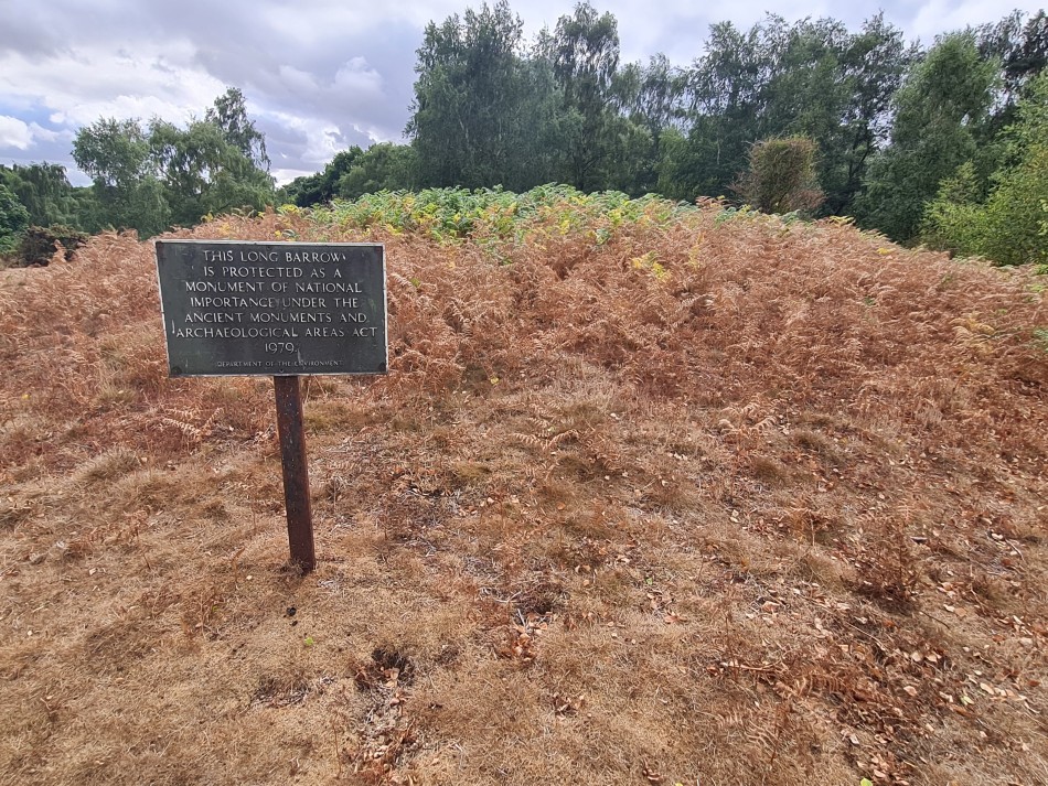 2022-07-31 39 Angles Way 18 - Ditchingham and Geldeston.jpg