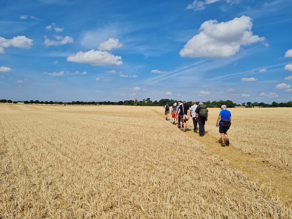 2022-08-06 01 Norwich at Ditchingham.jpg