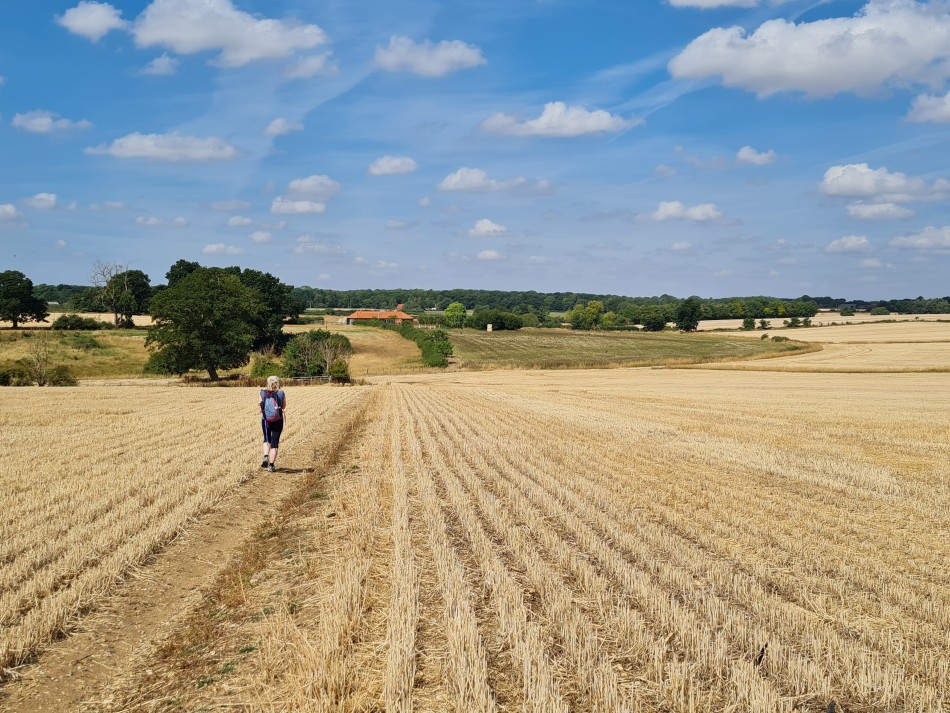2022-08-06 15 Norwich at Ditchingham.jpg