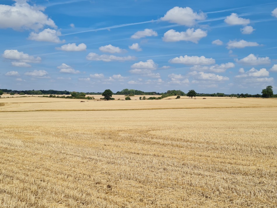 2022-08-06 16 Norwich at Ditchingham.jpg