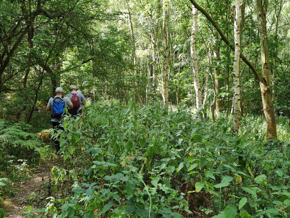 2022-08-06 18 Norwich at Ditchingham.jpg