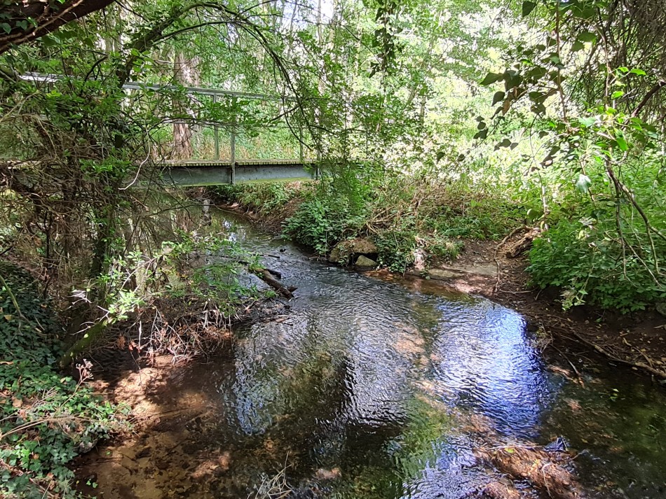 2022-08-06 19 Norwich at Ditchingham.jpg