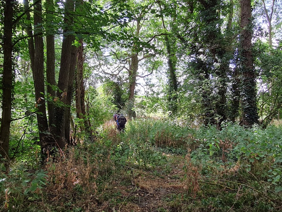 2022-08-06 20 Norwich at Ditchingham.jpg