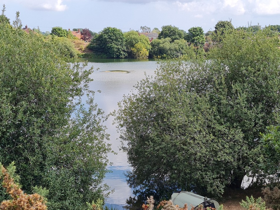 2022-08-06 22 Norwich at Ditchingham.jpg