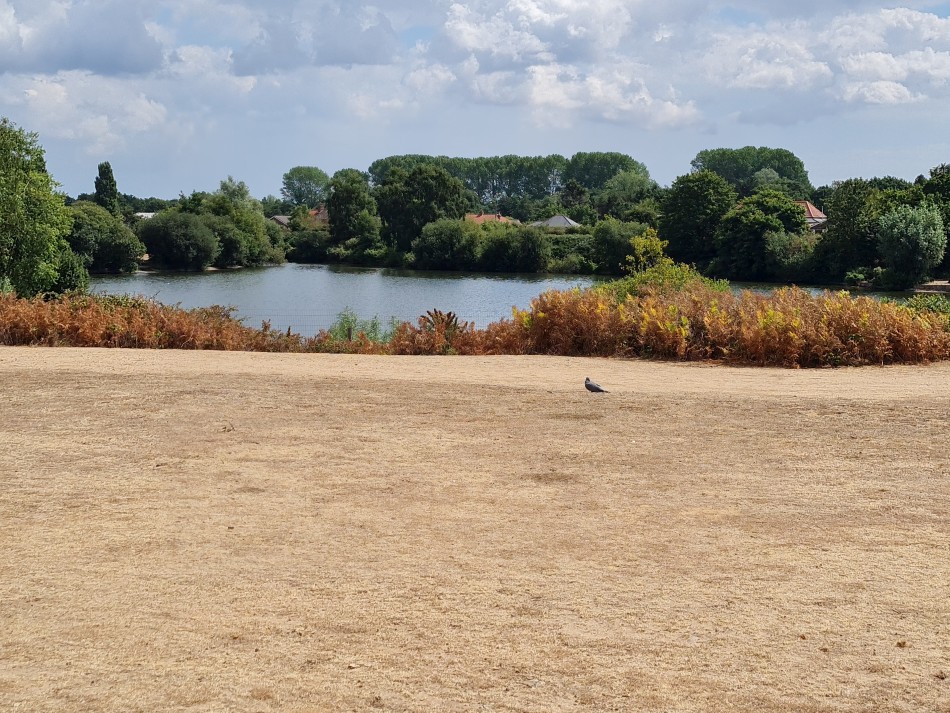2022-08-06 23 Norwich at Ditchingham.jpg