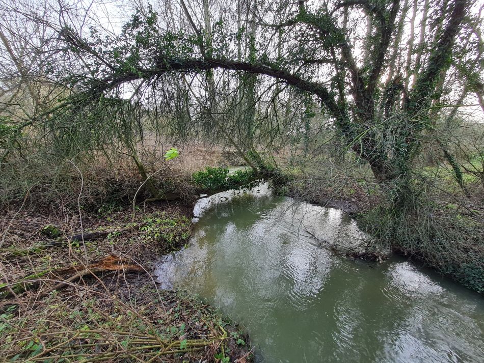 2023-01-01 18 Ditchingham Broome Hedenham.jpg