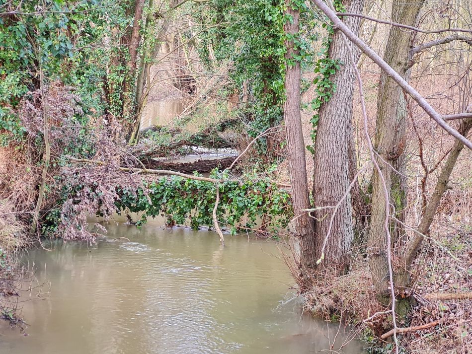 2023-01-01 19 Ditchingham Broome Hedenham.jpg