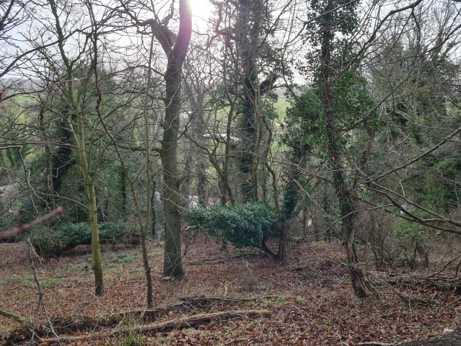 2023-01-01 35 Ditchingham Broome Hedenham.jpg