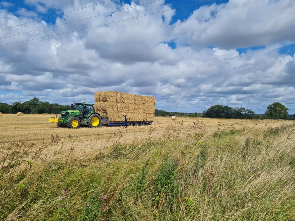 2023-07-30 01 Mettingham and Ellingham.jpg