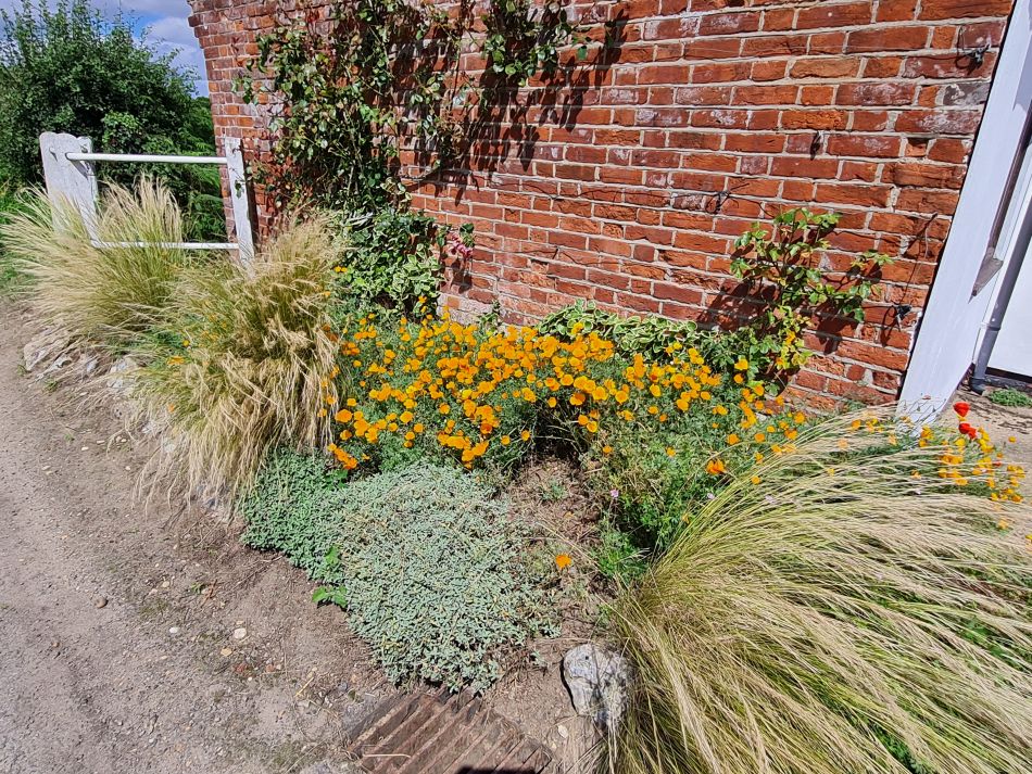 2023-07-30 04 Mettingham and Ellingham.jpg