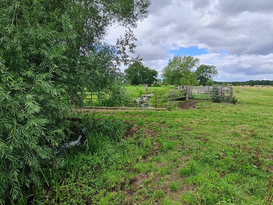 2023-07-30 11 Mettingham and Ellingham.jpg