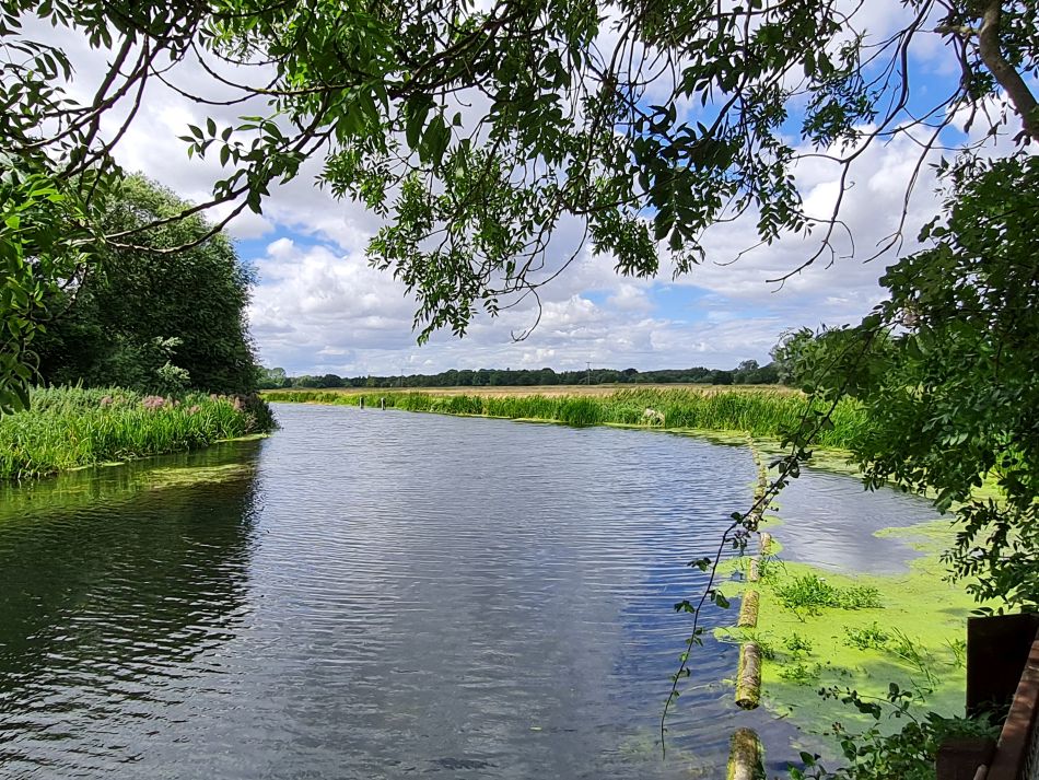 2023-07-30 12 Mettingham and Ellingham.jpg
