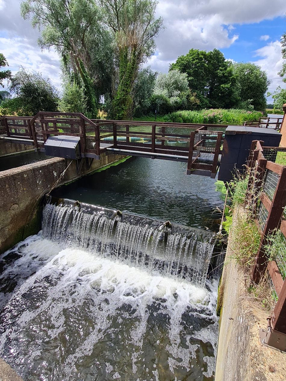 2023-07-30 16 Mettingham and Ellingham.jpg