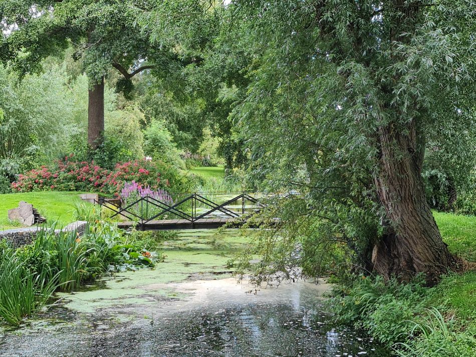 2023-07-30 19 Mettingham and Ellingham.jpg