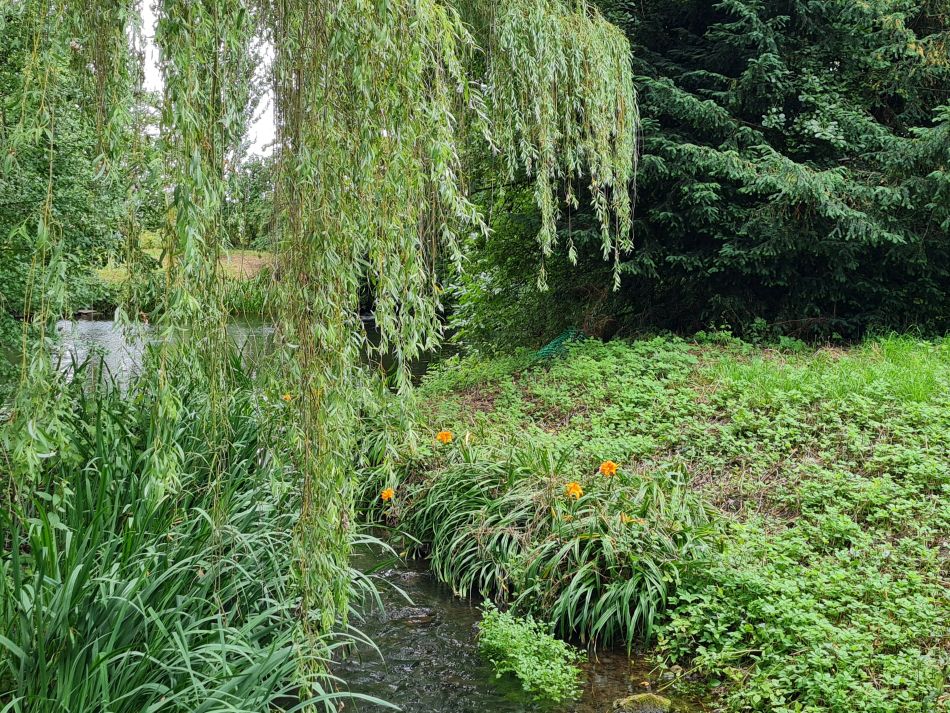 2023-07-30 20 Mettingham and Ellingham.jpg