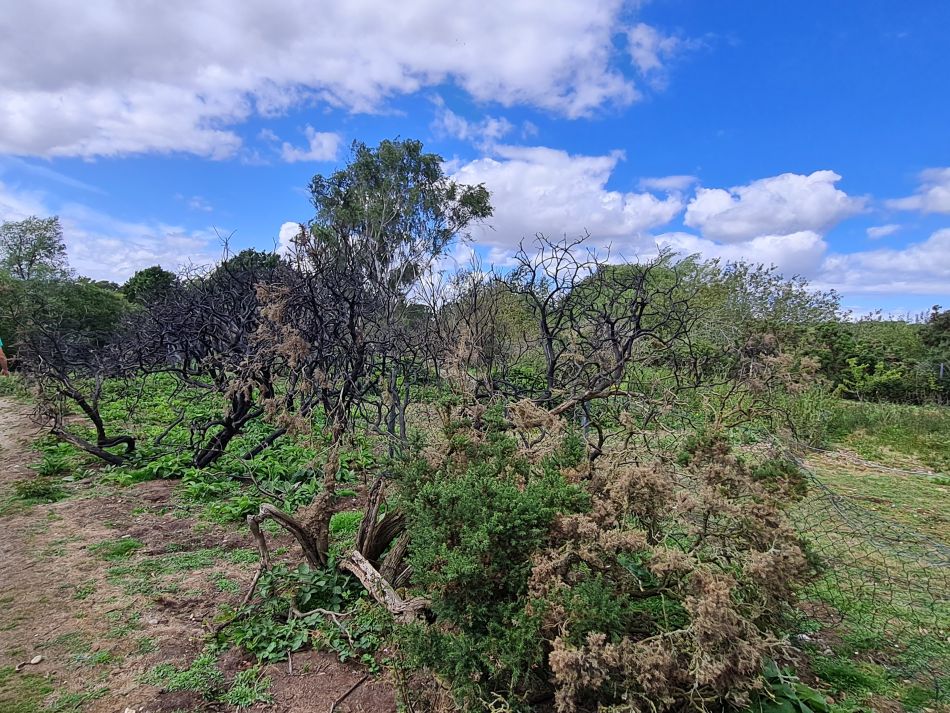 2023-07-30 26 Mettingham and Ellingham.jpg